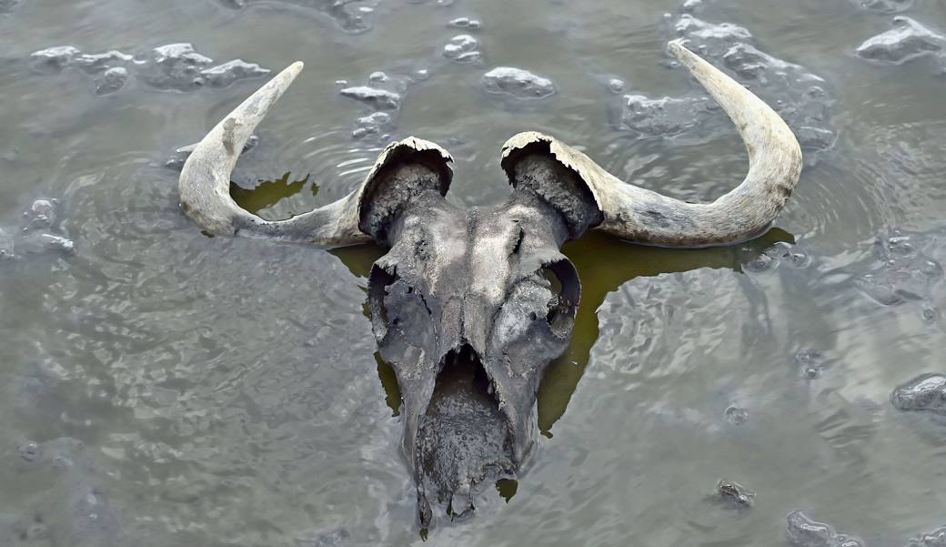 Lake Natron